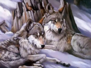 Diamond Painting Wölfe